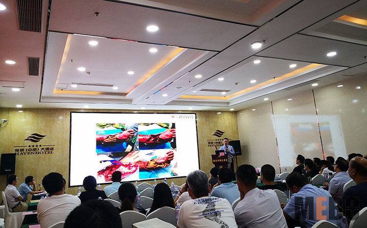 风险久久久久久亚洲精品影院