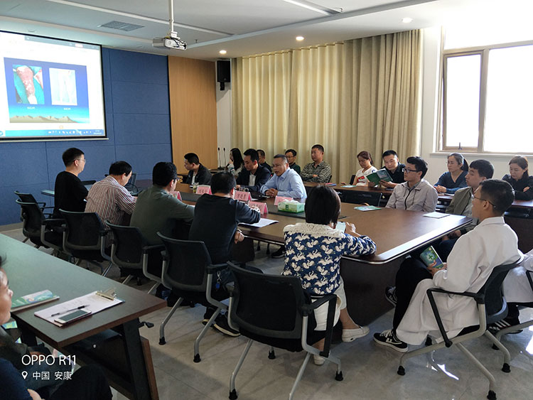 风险久久久久久亚洲精品影院