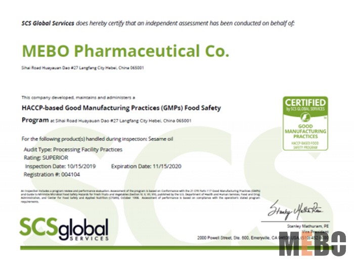 风险久久久久久亚洲精品影院