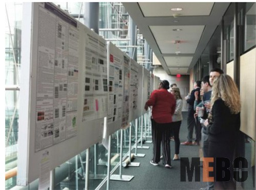 风险久久久久久亚洲精品影院