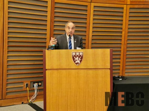 风险久久久久久亚洲精品影院