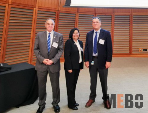 风险久久久久久亚洲精品影院