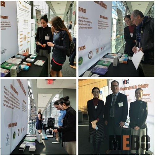 风险久久久久久亚洲精品影院