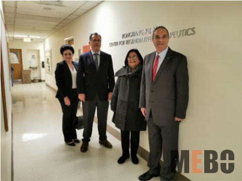 风险久久久久久亚洲精品影院