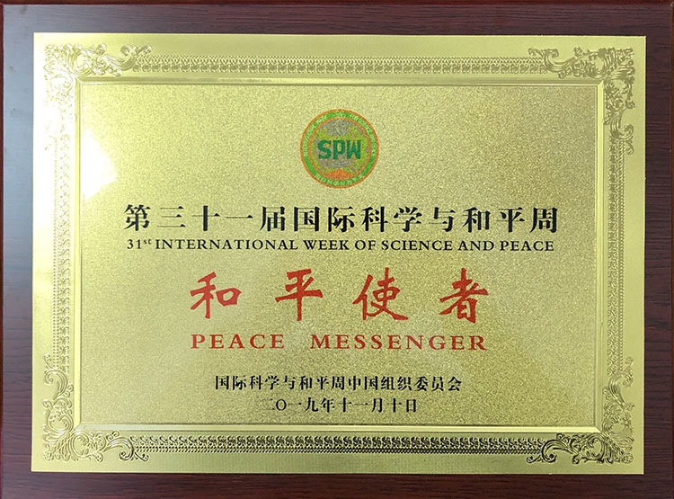 风险久久久久久亚洲精品影院