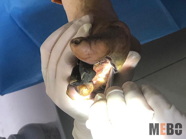 风险久久久久久亚洲精品影院