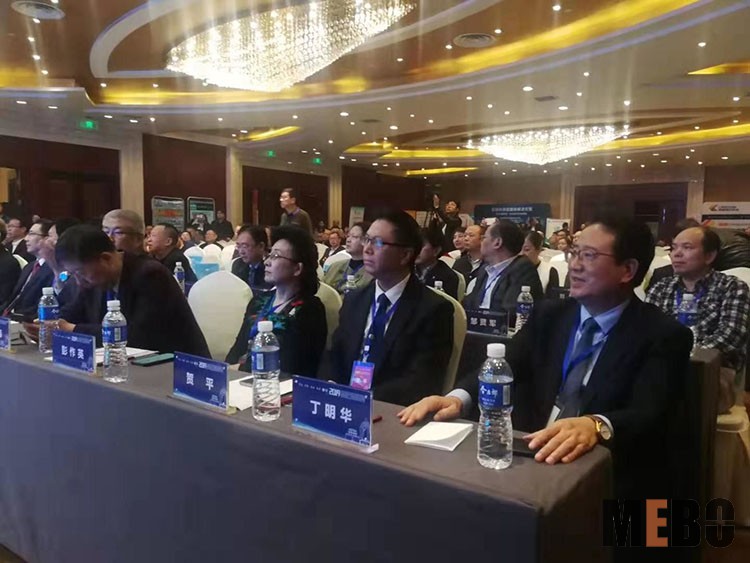 风险久久久久久亚洲精品影院