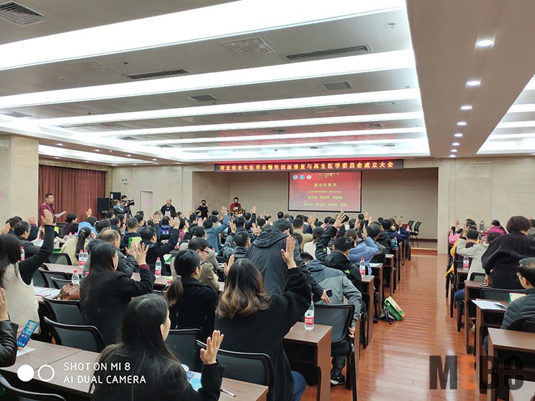 风险久久久久久亚洲精品影院