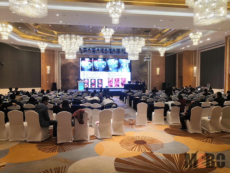 风险久久久久久亚洲精品影院