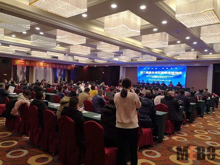 风险久久久久久亚洲精品影院