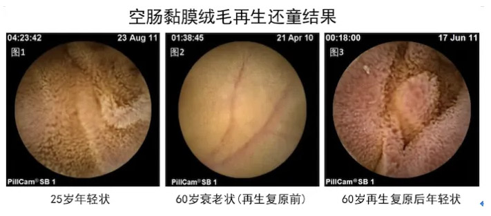 风险久久久久久亚洲精品影院