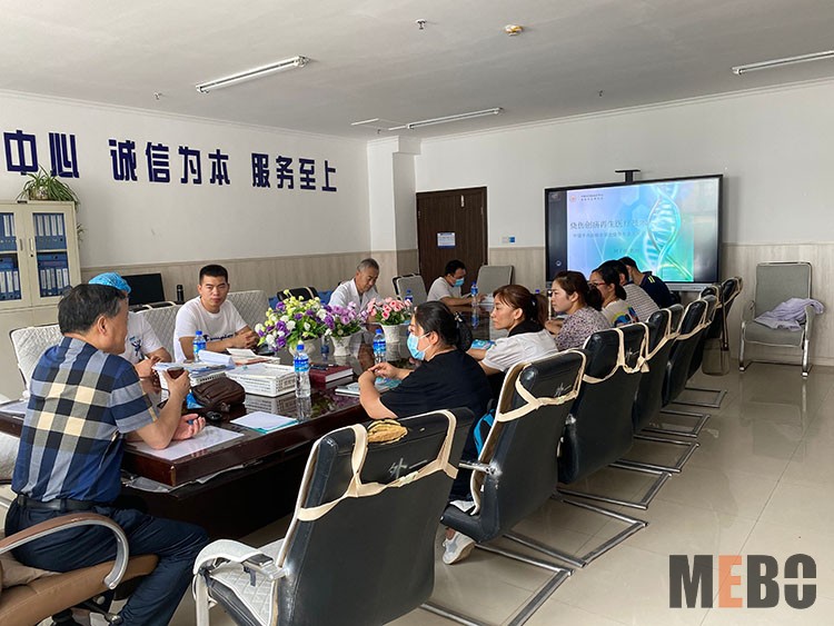 风险久久久久久亚洲精品影院