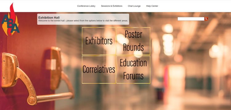 风险久久久久久亚洲精品影院