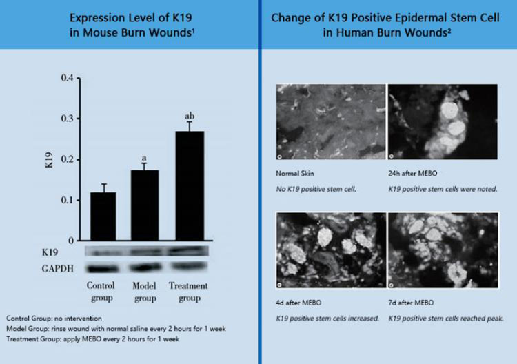 风险久久久久久亚洲精品影院
