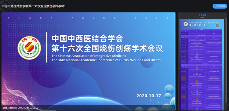 风险久久久久久亚洲精品影院