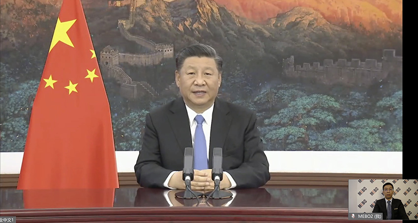 风险久久久久久亚洲精品影院