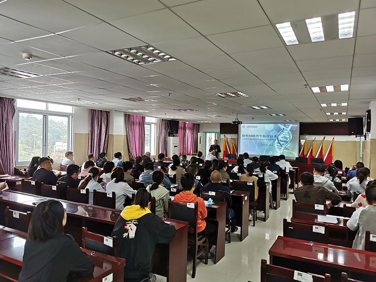 风险久久久久久亚洲精品影院