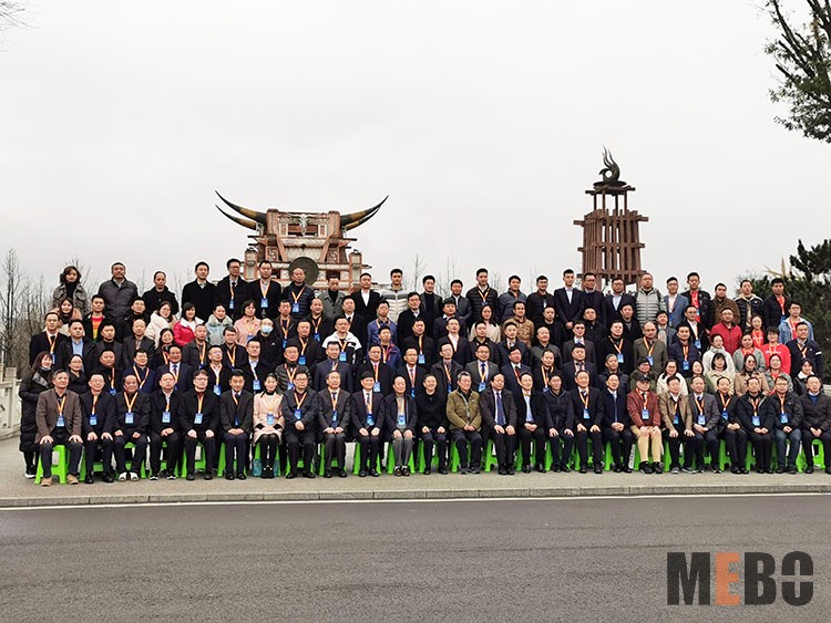 风险久久久久久亚洲精品影院