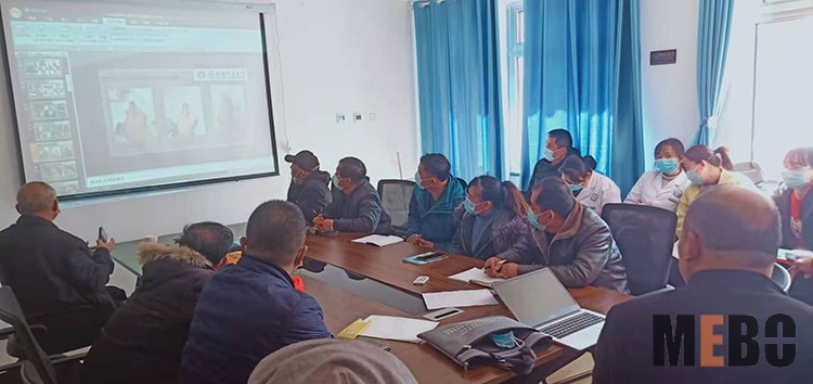 风险久久久久久亚洲精品影院