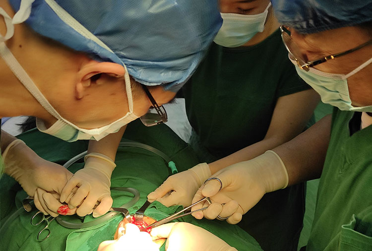 风险久久久久久亚洲精品影院