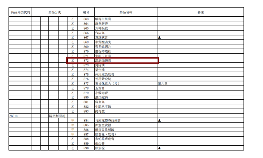 风险久久久久久亚洲精品影院