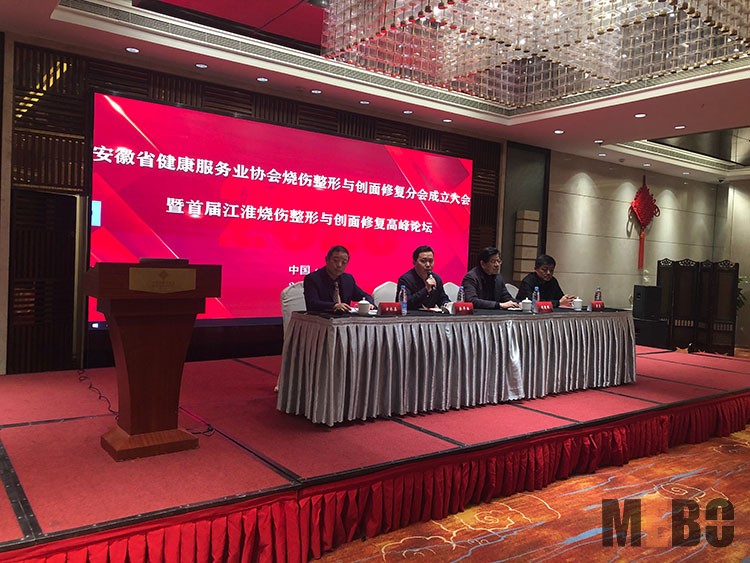 风险久久久久久亚洲精品影院