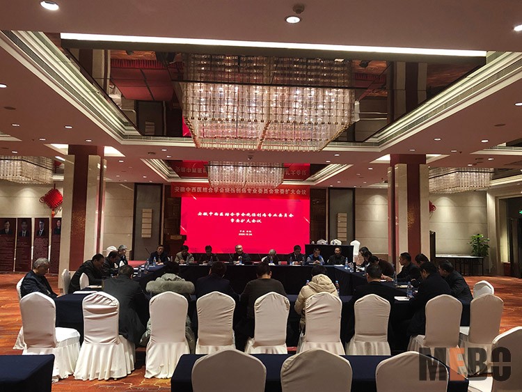 风险久久久久久亚洲精品影院