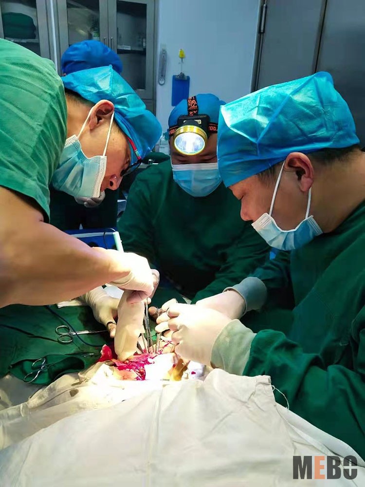 风险久久久久久亚洲精品影院