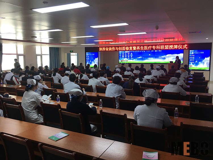 风险久久久久久亚洲精品影院