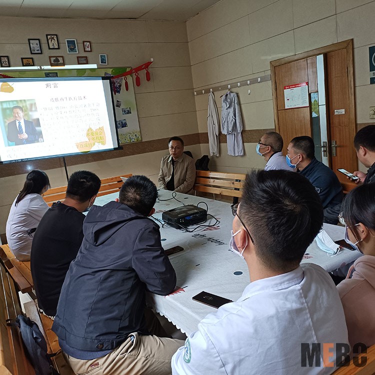 风险久久久久久亚洲精品影院