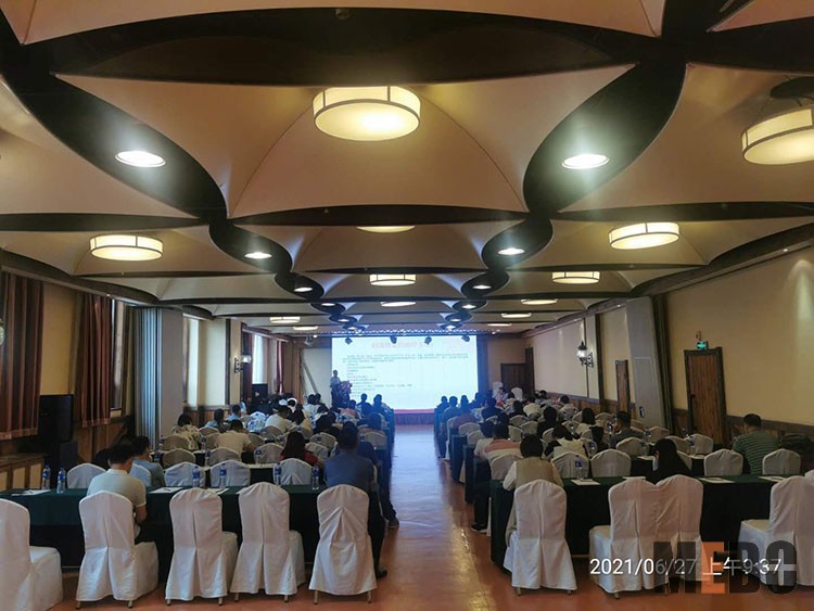 风险久久久久久亚洲精品影院