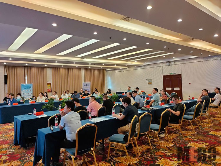 风险久久久久久亚洲精品影院