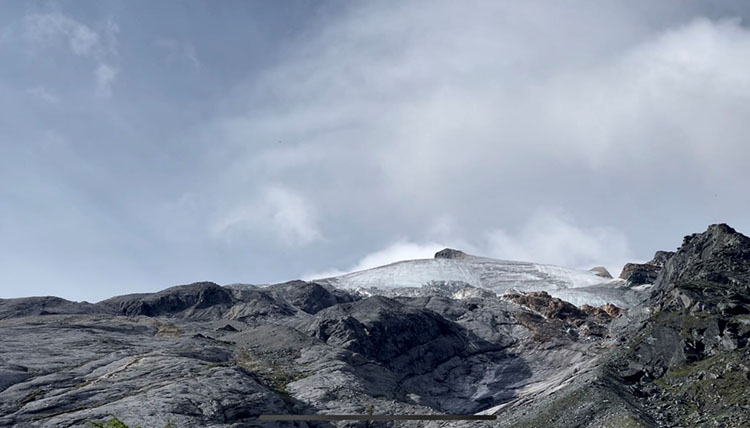风险久久久久久亚洲精品影院