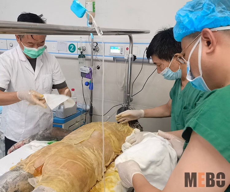 风险久久久久久亚洲精品影院