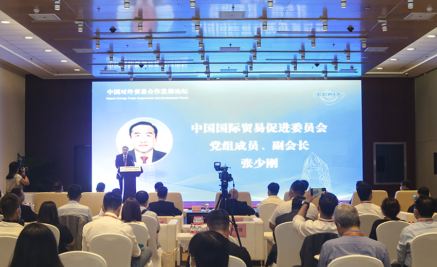 风险久久久久久亚洲精品影院