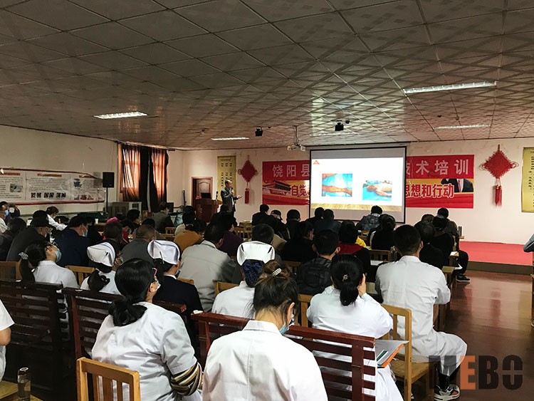 风险久久久久久亚洲精品影院