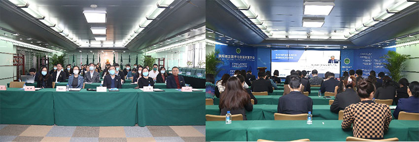 风险久久久久久亚洲精品影院