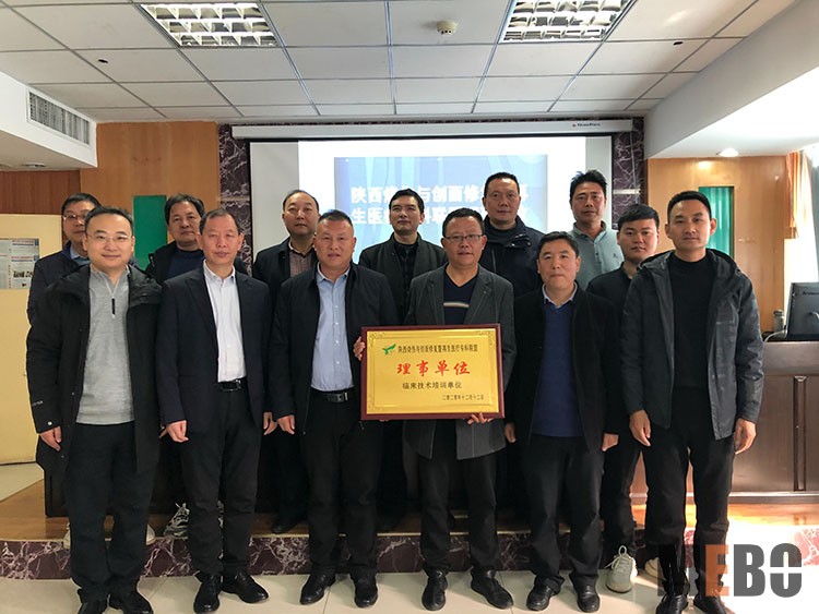 风险久久久久久亚洲精品影院