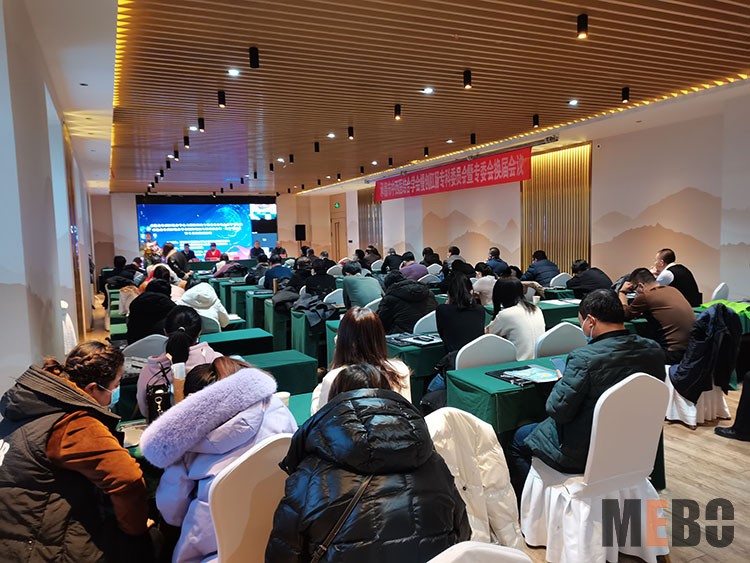 风险久久久久久亚洲精品影院