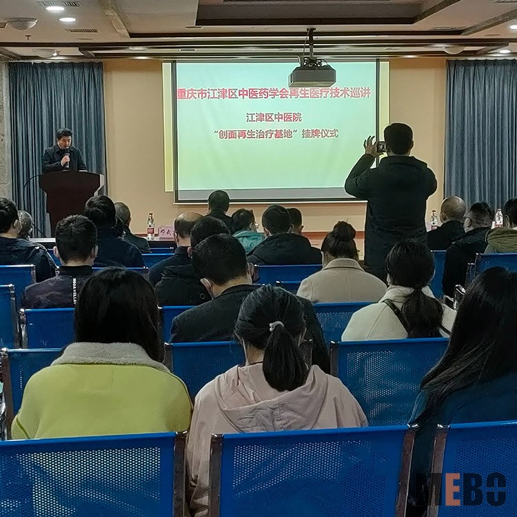 风险久久久久久亚洲精品影院