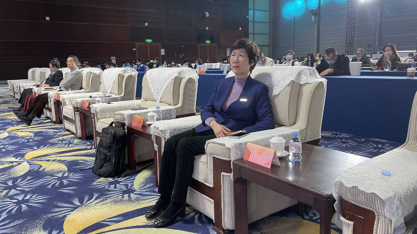 风险久久久久久亚洲精品影院