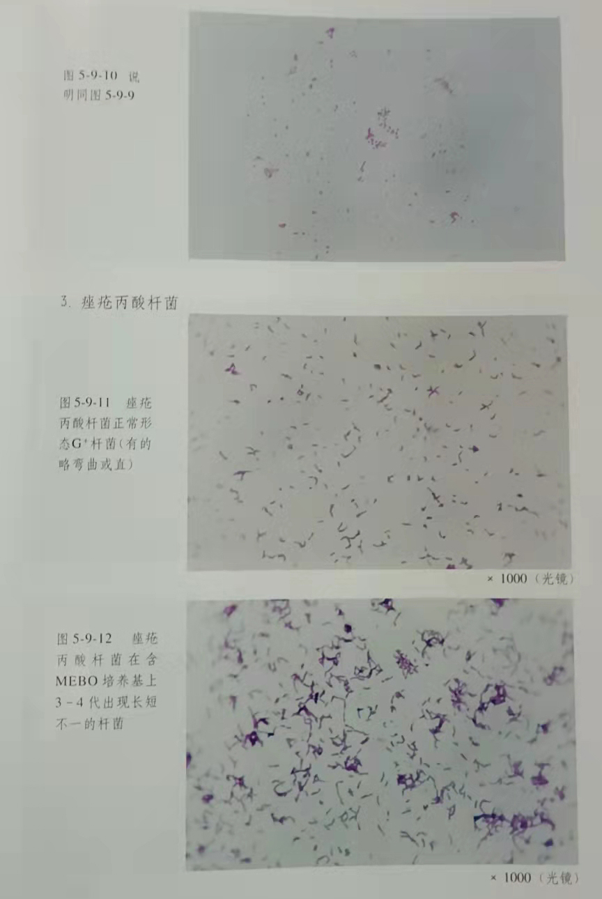 风险久久久久久亚洲精品影院