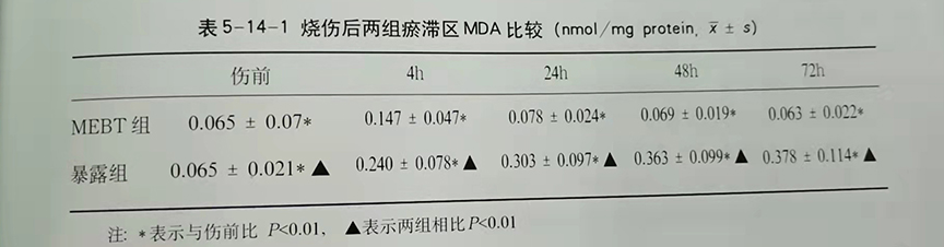 风险久久久久久亚洲精品影院