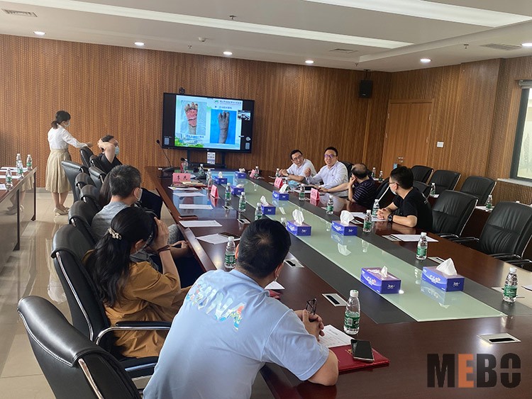 风险久久久久久亚洲精品影院