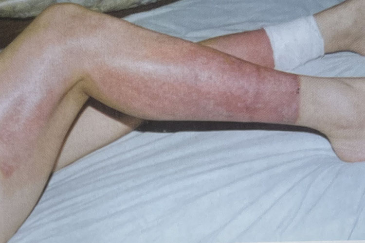 风险久久久久久亚洲精品影院