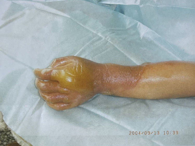 风险久久久久久亚洲精品影院