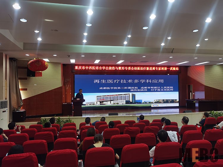 风险久久久久久亚洲精品影院