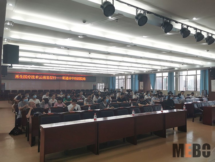 风险久久久久久亚洲精品影院