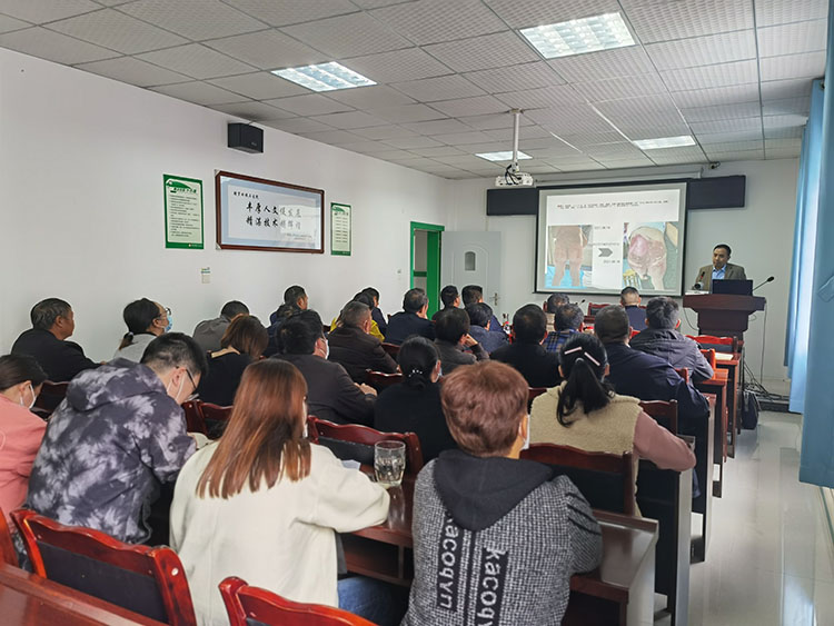 风险久久久久久亚洲精品影院