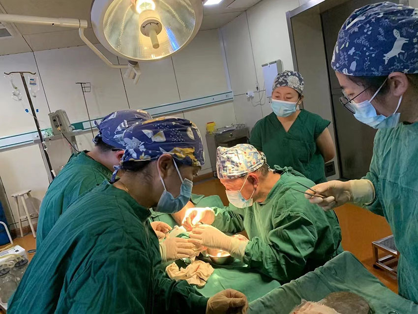 风险久久久久久亚洲精品影院